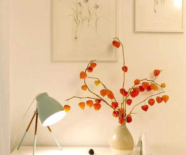 Jasmine Serenity - Central, Behind Black Church Brasov